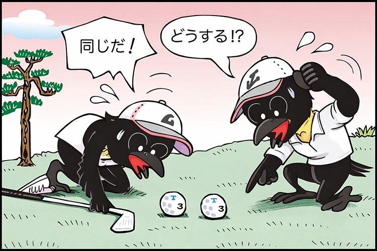 【ゴルフルール】ブランドも番号も同じ!自分のボールか判別できない時はどうなる?