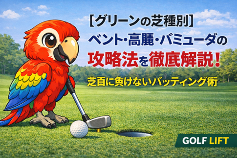 【グリーンの芝種別】ベント・高麗・バミューダの攻略法を徹底解説！芝目に負けないパッティング術【GOLF LIFT】
